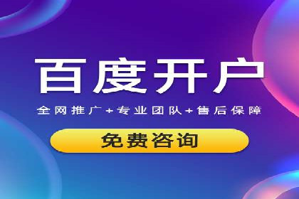 案例分析：SEM广告助力电商行业突破